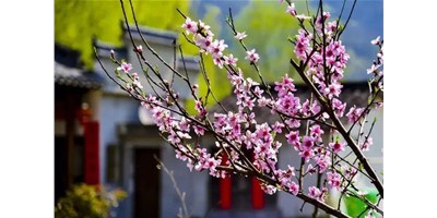 阳春三月，申博官网精机一大波展会即将来袭，您筹备好了吗？